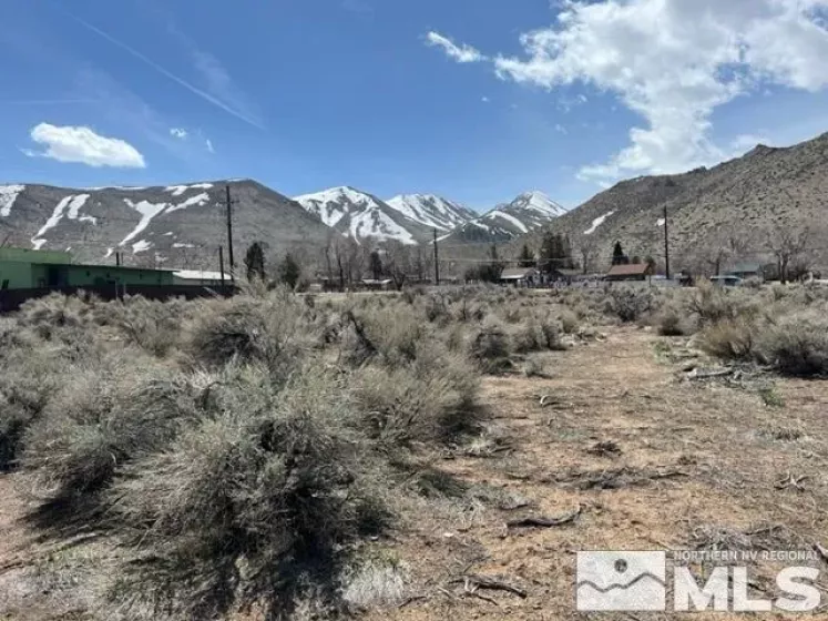 Lot X3 US Highway 395, Coleville, California 96107, ,Land,Residential,US Highway 395,250004057