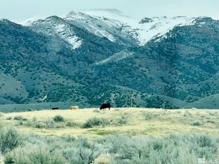 22025 Fall River, Lovelock, Nevada 89419, ,Land,Residential,Fall River,250003998