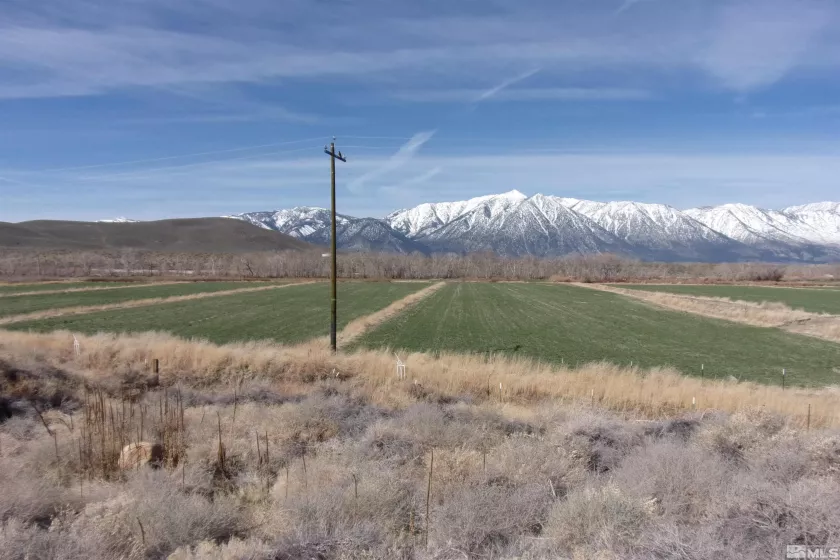700 Hwy 395, Gardnerville, Nevada 89410, ,Land,Residential,Hwy 395,250004349