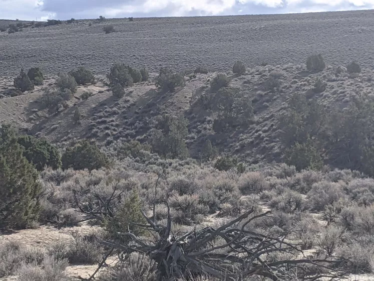 0 Rio Seco, Sparks, Nevada 89441, ,Land,Residential,Rio Seco,210007395