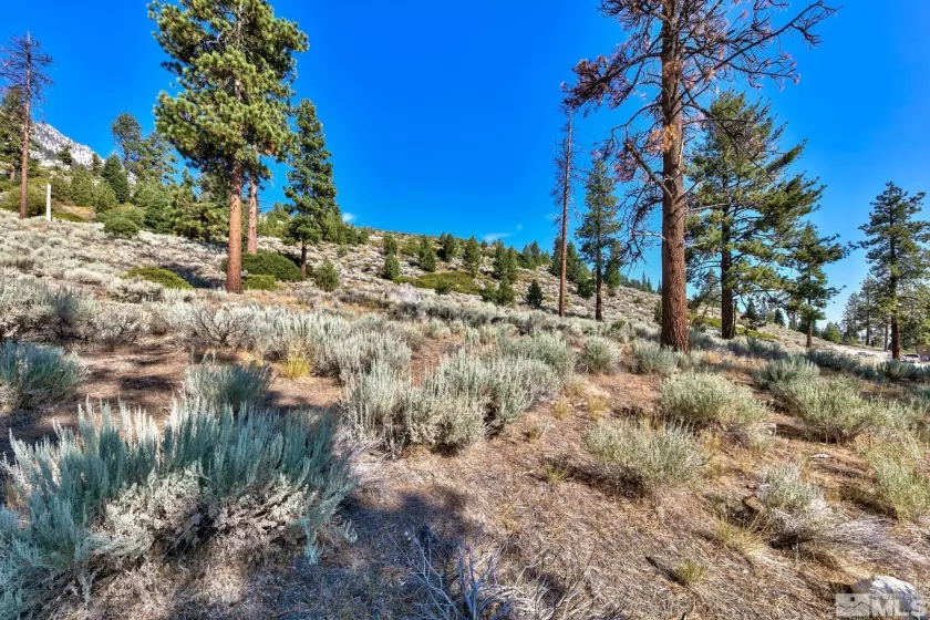 150 Summit Ridge, Gardnerville, Nevada 89460, ,Land,Residential,Summit Ridge,250004273