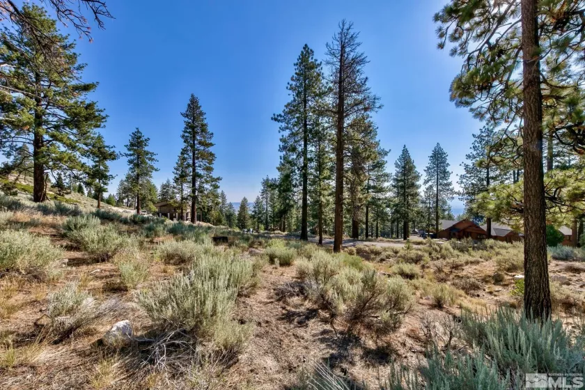 150 Summit Ridge, Gardnerville, Nevada 89460, ,Land,Residential,Summit Ridge,250004273