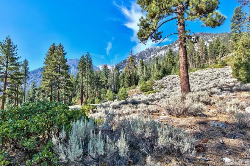 150 Summit Ridge, Gardnerville, Nevada 89460, ,Land,Residential,Summit Ridge,250004273