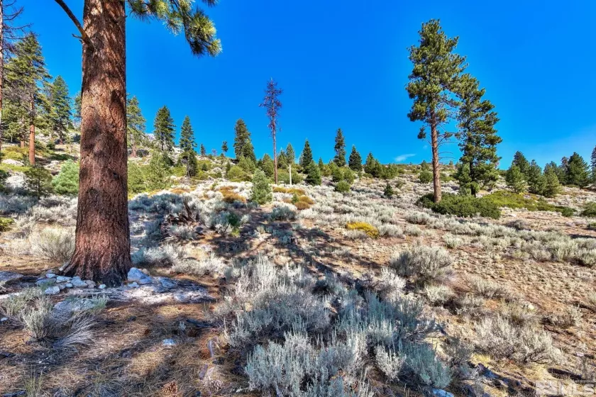 150 Summit Ridge, Gardnerville, Nevada 89460, ,Land,Residential,Summit Ridge,250004273
