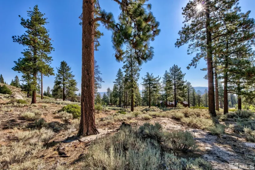 150 Summit Ridge, Gardnerville, Nevada 89460, ,Land,Residential,Summit Ridge,250004273