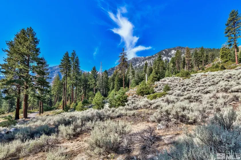 150 Summit Ridge, Gardnerville, Nevada 89460, ,Land,Residential,Summit Ridge,250004273