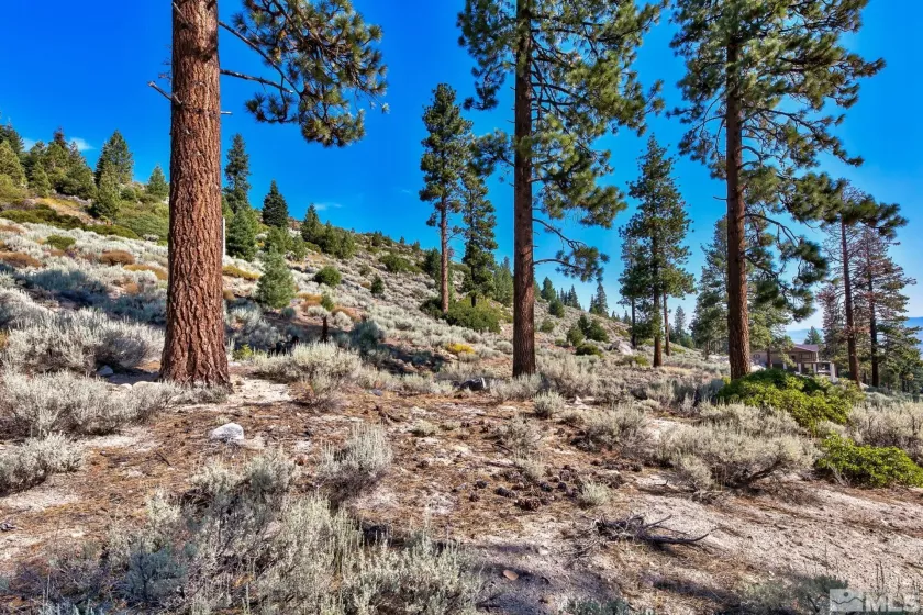 150 Summit Ridge, Gardnerville, Nevada 89460, ,Land,Residential,Summit Ridge,250004273