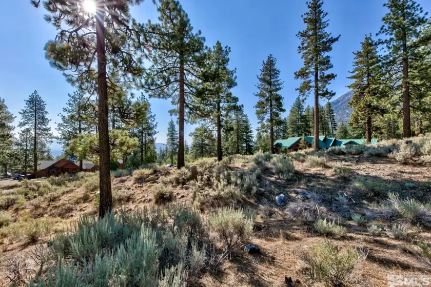 150 Summit Ridge, Gardnerville, Nevada 89460, ,Land,Residential,Summit Ridge,250004273