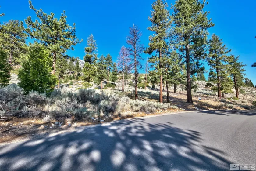 150 Summit Ridge, Gardnerville, Nevada 89460, ,Land,Residential,Summit Ridge,250004273