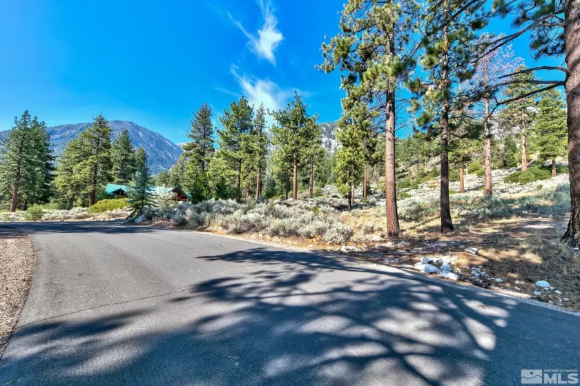 150 Summit Ridge, Gardnerville, Nevada 89460, ,Land,Residential,Summit Ridge,250004273