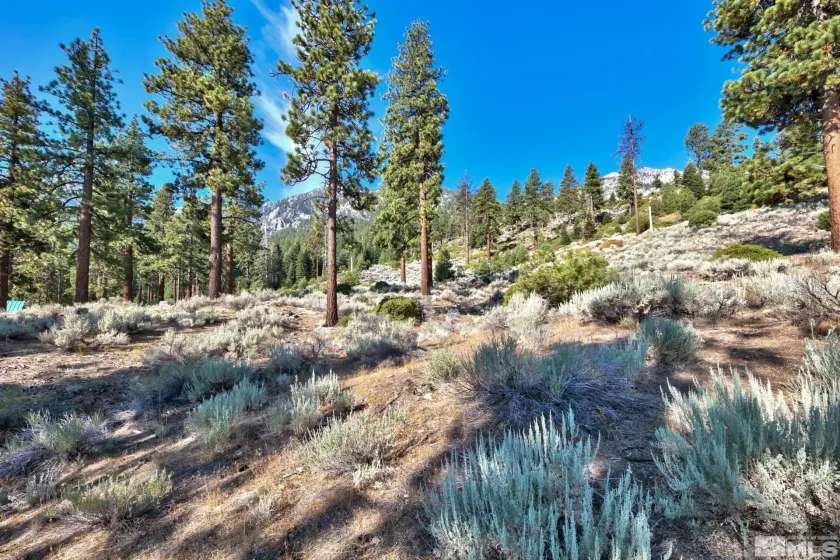 150 Summit Ridge, Gardnerville, Nevada 89460, ,Land,Residential,Summit Ridge,250004273