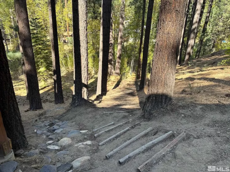 100 Timber, Markleeville, California 96120, 2 Bedrooms Bedrooms, ,2 BathroomsBathrooms,Residential,Residential,Timber,240013009