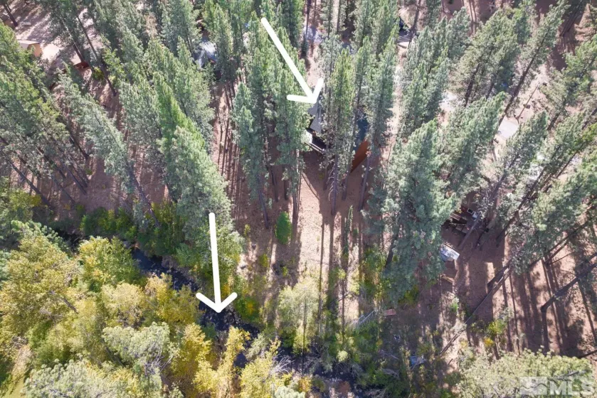 100 Timber, Markleeville, California 96120, 2 Bedrooms Bedrooms, ,2 BathroomsBathrooms,Residential,Residential,Timber,240013009