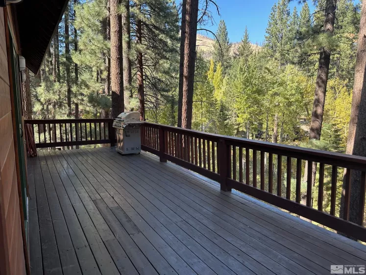 100 Timber, Markleeville, California 96120, 2 Bedrooms Bedrooms, ,2 BathroomsBathrooms,Residential,Residential,Timber,240013009