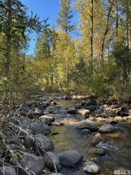 100 Timber, Markleeville, California 96120, 2 Bedrooms Bedrooms, ,2 BathroomsBathrooms,Residential,Residential,Timber,240013009