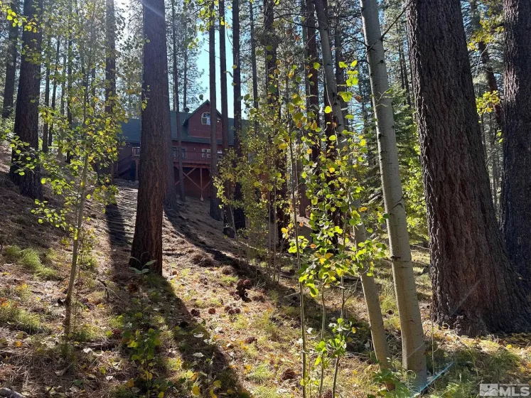 100 Timber, Markleeville, California 96120, 2 Bedrooms Bedrooms, ,2 BathroomsBathrooms,Residential,Residential,Timber,240013009