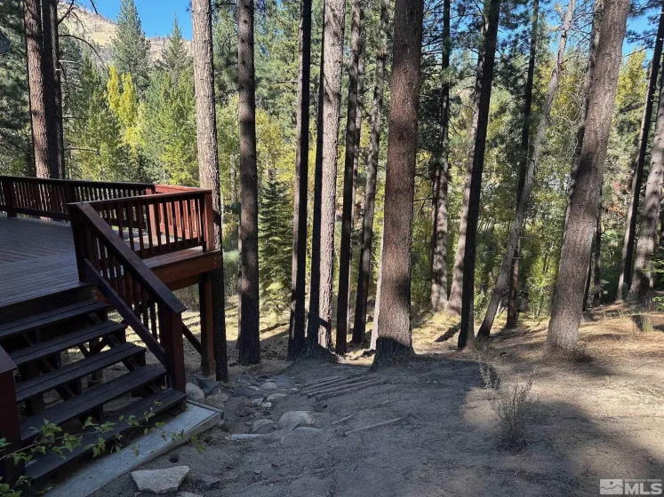100 Timber, Markleeville, California 96120, 2 Bedrooms Bedrooms, ,2 BathroomsBathrooms,Residential,Residential,Timber,240013009