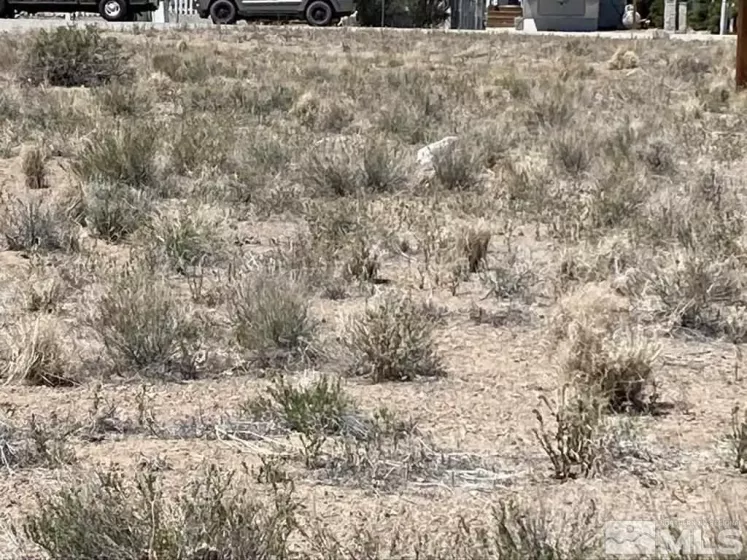 100 Nadel, Yerington, Nevada 89447, ,Land,Residential,Nadel,210006435