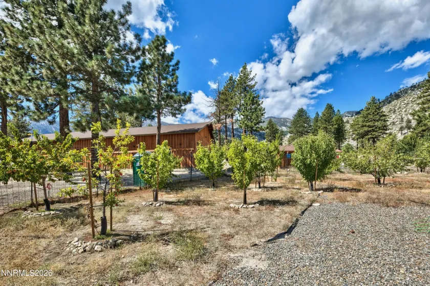 164 Mott Creek, Gardnerville, Nevada 89460, 7 Bedrooms Bedrooms, ,8 BathroomsBathrooms,Residential,Residential,Mott Creek,250006254