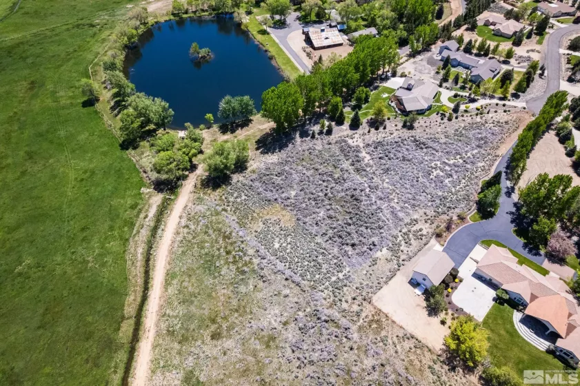 425 Arlene Marie, Gardnerville, Nevada 89410, ,Land,Residential,Arlene Marie,250006259