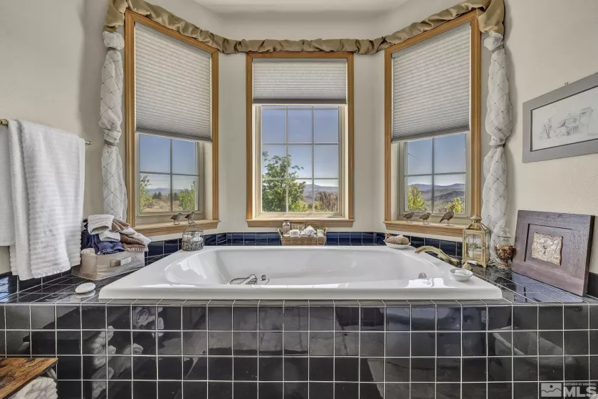 155 Diamond, Markleeville, California 96120, 4 Bedrooms Bedrooms, ,4 BathroomsBathrooms,Residential,Residential,Diamond,250006257
