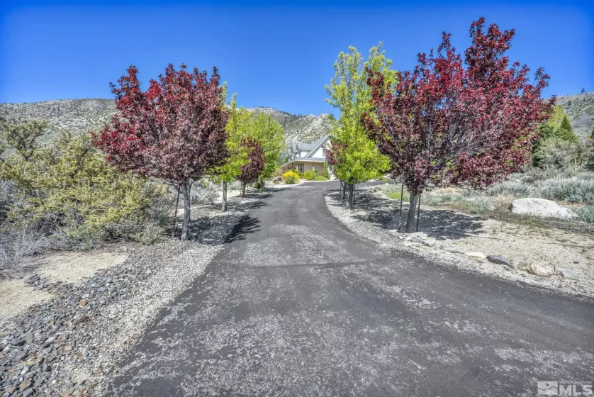 155 Diamond, Markleeville, California 96120, 4 Bedrooms Bedrooms, ,4 BathroomsBathrooms,Residential,Residential,Diamond,250006257