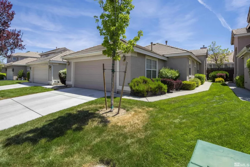 1236 Tule, Reno, Nevada 89521, 3 Bedrooms Bedrooms, ,2 BathroomsBathrooms,Residential,Residential,Tule,250006268
