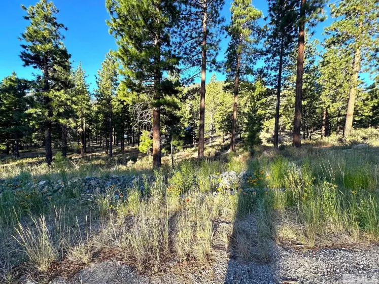 3379 Golf Club, Carson City, Nevada 89705, ,Land,Residential,Golf Club,240010428
