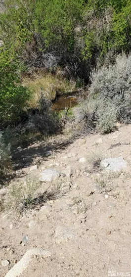 810 Chiatovich Creek, Dyer, Nevada 89010, ,Land,Residential,Chiatovich Creek,250006290