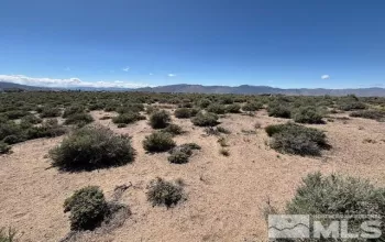 365 Ludwig, Smith, Nevada 89430, ,Land,Residential,Ludwig,250006299