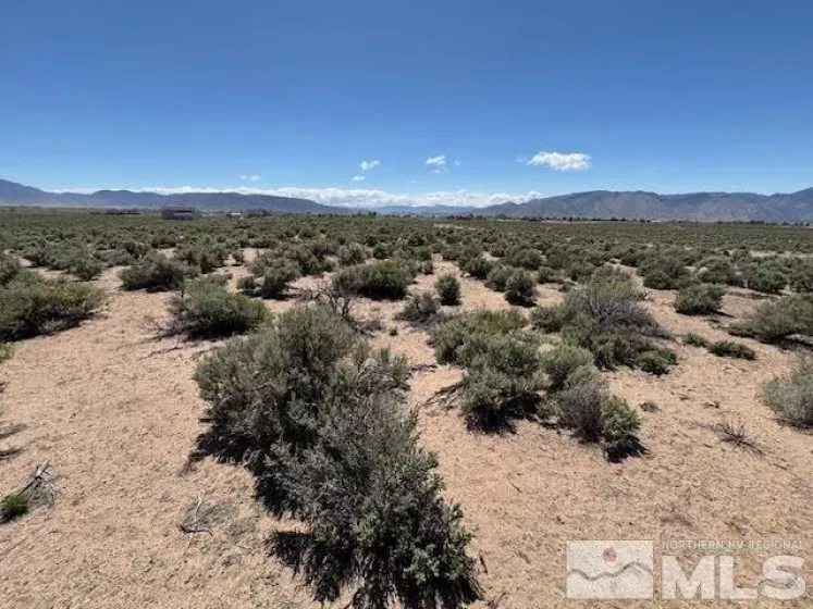 365 Ludwig, Smith, Nevada 89430, ,Land,Residential,Ludwig,250006299