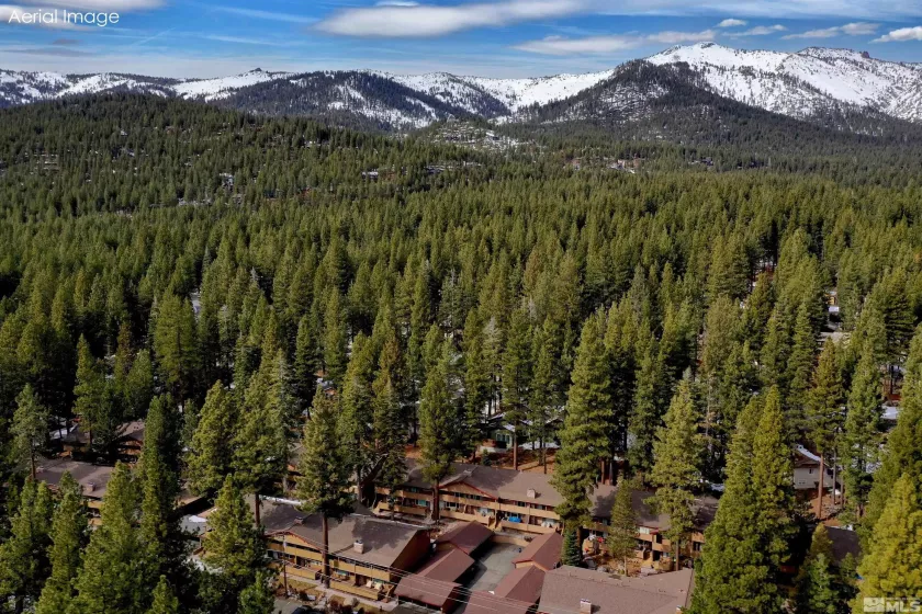 866 Northwood, Incline Village, Nevada 89451, ,Commercial Sale,Residential,Northwood,250006353