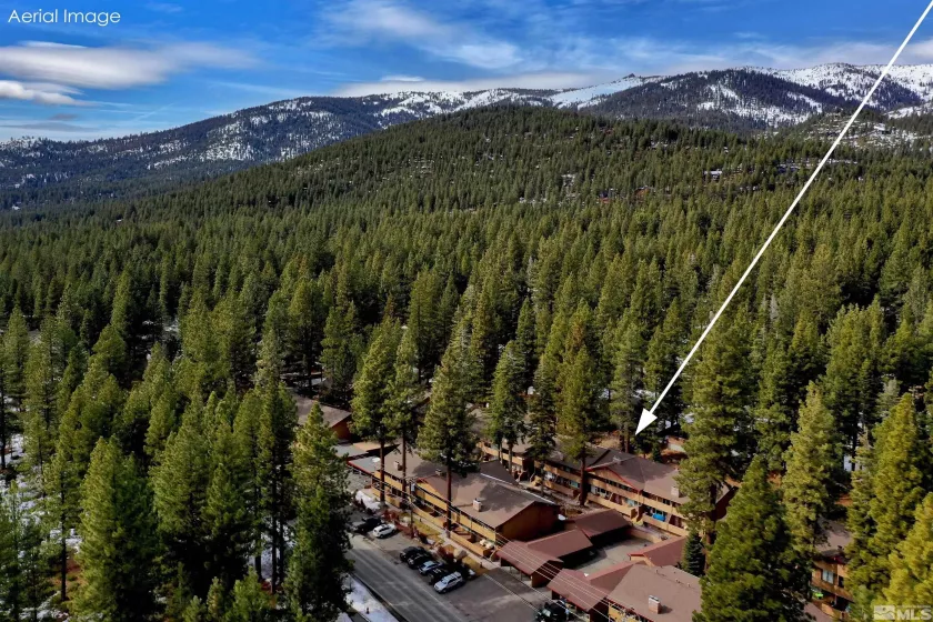 866 Northwood, Incline Village, Nevada 89451, ,Commercial Sale,Residential,Northwood,250006353