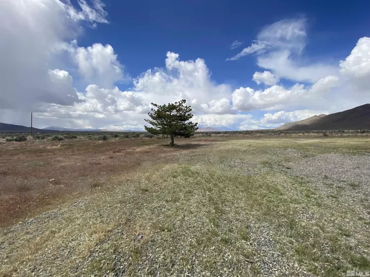 695 Good Choice, Winnemucca, Nevada 89445, 3 Bedrooms Bedrooms, ,2 BathroomsBathrooms,Residential,Residential,Good Choice,250006363