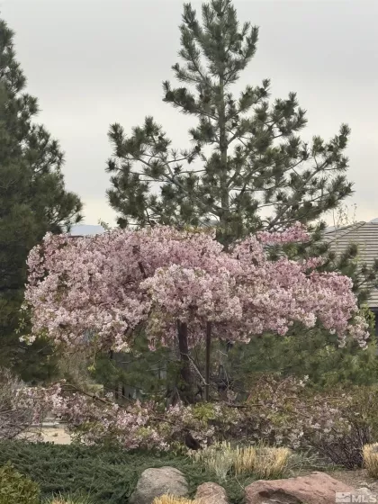 10401 Copper Cloud, Reno, Nevada 89511, 7 Bedrooms Bedrooms, ,7 BathroomsBathrooms,Residential,Residential,Copper Cloud,250006381
