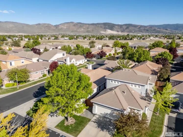 9653 Truckee Meadows, Reno, Nevada 89521, 3 Bedrooms Bedrooms, ,2 BathroomsBathrooms,Residential,Residential,Truckee Meadows,250006447