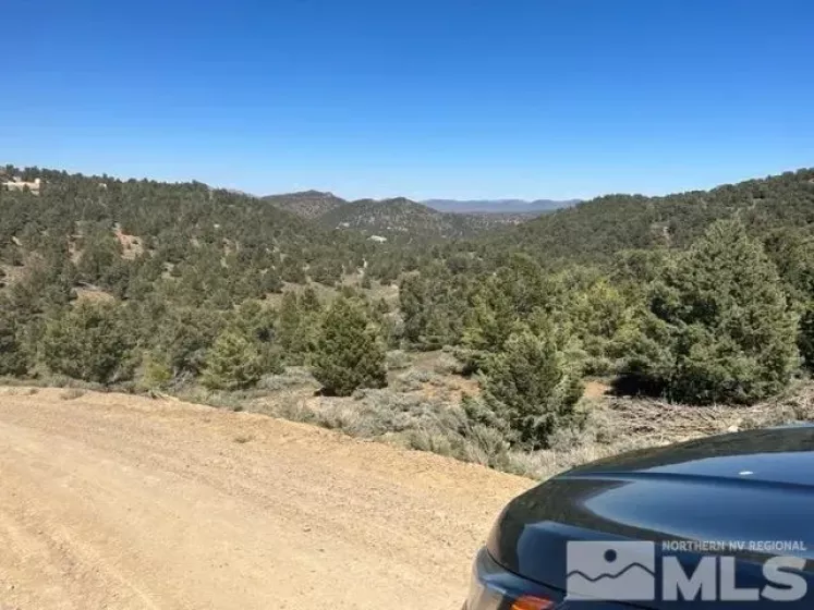 1540 Yellowjacket, Reno, Nevada 89521, ,Land,Residential,Yellowjacket,250006459