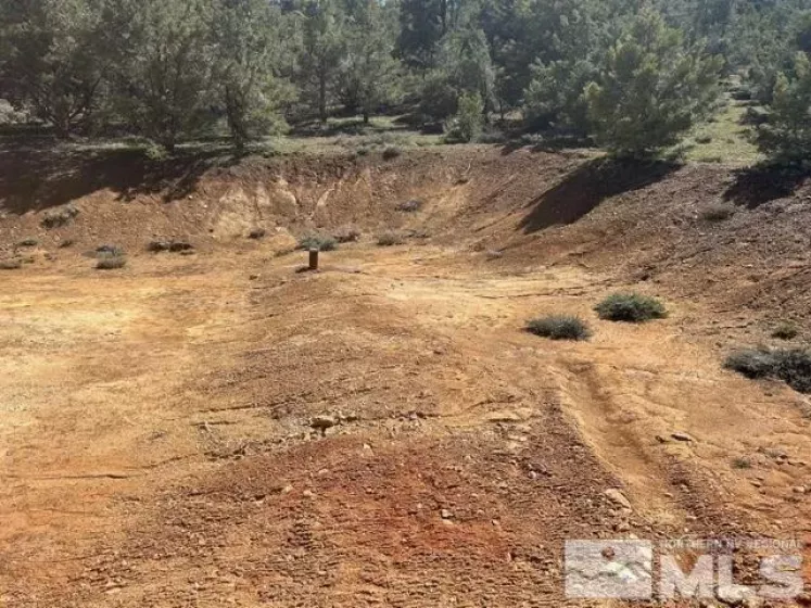 1540 Yellowjacket, Reno, Nevada 89521, ,Land,Residential,Yellowjacket,250006459