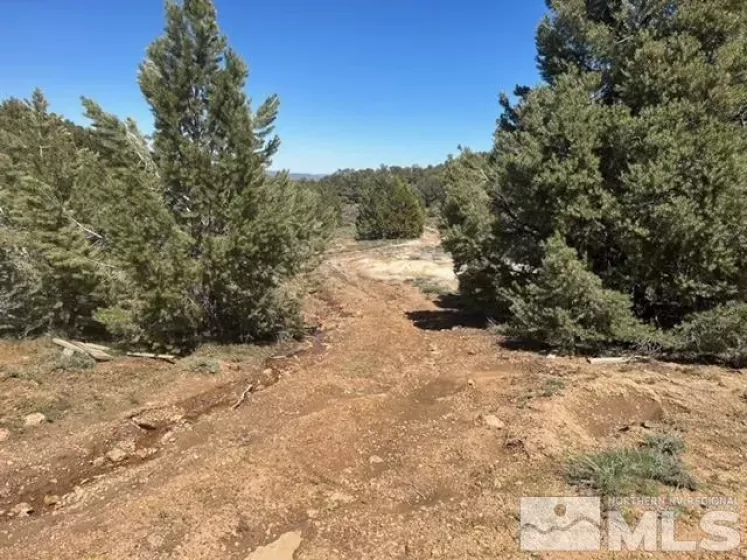 1540 Yellowjacket, Reno, Nevada 89521, ,Land,Residential,Yellowjacket,250006459