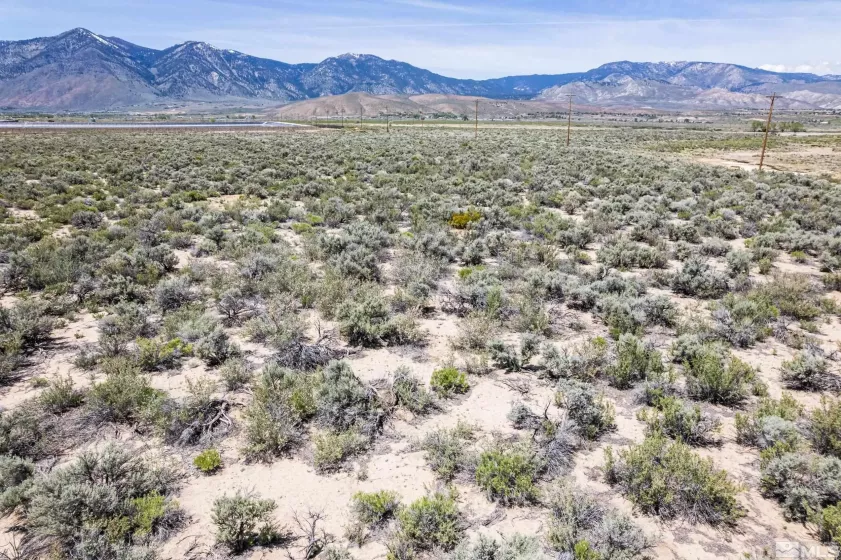 000 Vicky, Minden, Nevada 89423, ,Land,Residential,Vicky,250006533