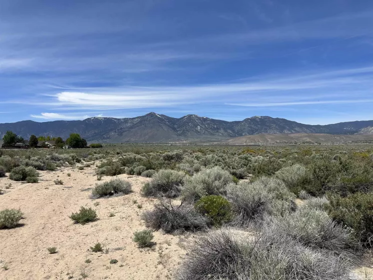 000 Vicky, Minden, Nevada 89423, ,Land,Residential,Vicky,250006533