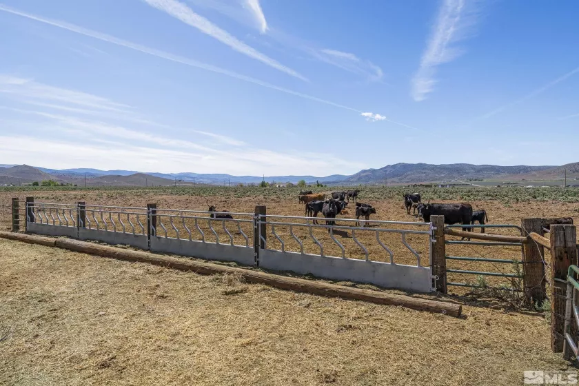 4800 Amy, Reno, Nevada 89510, 3 Bedrooms Bedrooms, ,3 BathroomsBathrooms,Residential,Residential,Amy,250006572