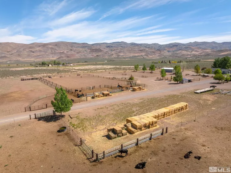 4800 Amy, Reno, Nevada 89510, 3 Bedrooms Bedrooms, ,3 BathroomsBathrooms,Residential,Residential,Amy,250006572
