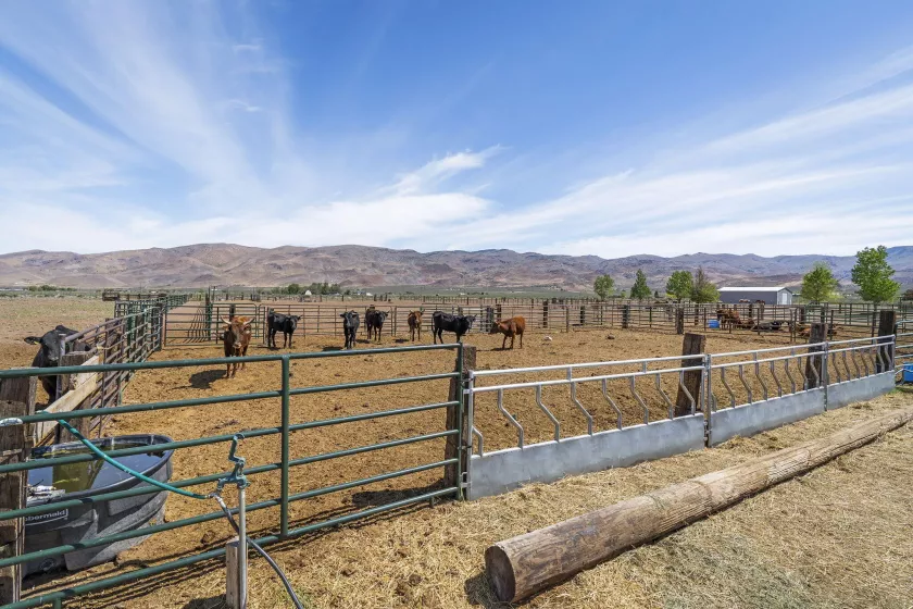 4800 Amy, Reno, Nevada 89510, 3 Bedrooms Bedrooms, ,3 BathroomsBathrooms,Residential,Residential,Amy,250006572