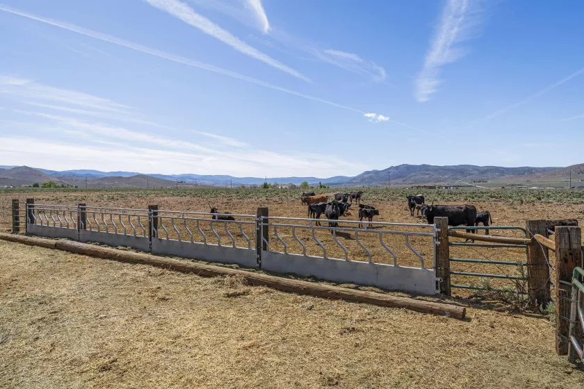 4800 Amy, Reno, Nevada 89510, 3 Bedrooms Bedrooms, ,3 BathroomsBathrooms,Residential,Residential,Amy,250006572