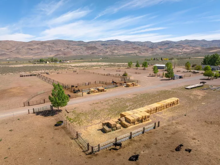 4800 Amy, Reno, Nevada 89510, 3 Bedrooms Bedrooms, ,3 BathroomsBathrooms,Residential,Residential,Amy,250006572