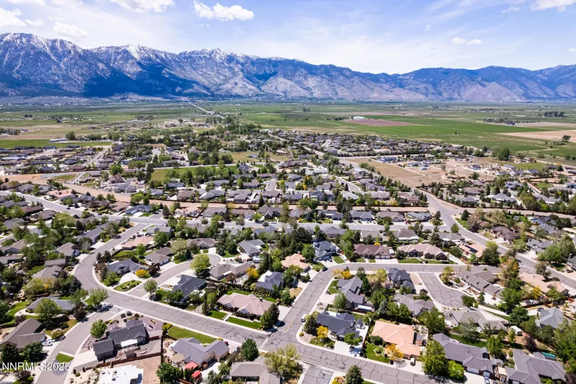 971 Fieldgate, Gardnerville, Nevada 89460, 3 Bedrooms Bedrooms, ,4 BathroomsBathrooms,Residential,Residential,Fieldgate,250006515