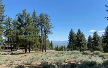Land Residential
