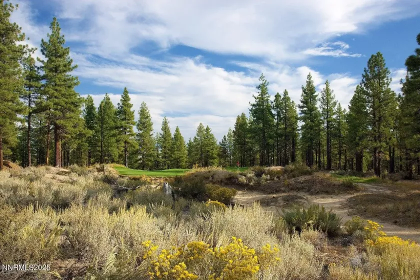413 Rose Summit, Carson City, Nevada 89705, ,Land,Residential,Rose Summit,250050074