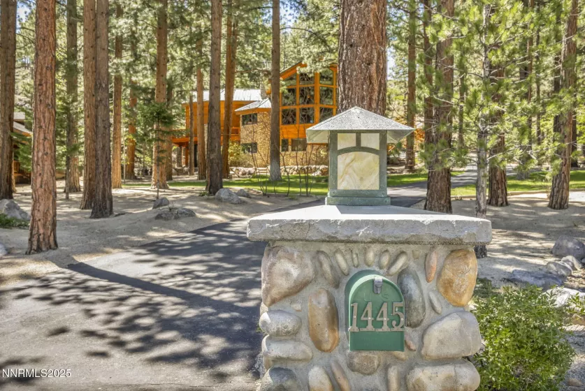 1445 Austrian Pine, Reno, Nevada 89511, 4 Bedrooms Bedrooms, ,4 BathroomsBathrooms,Residential,Residential,Austrian Pine,250050082
